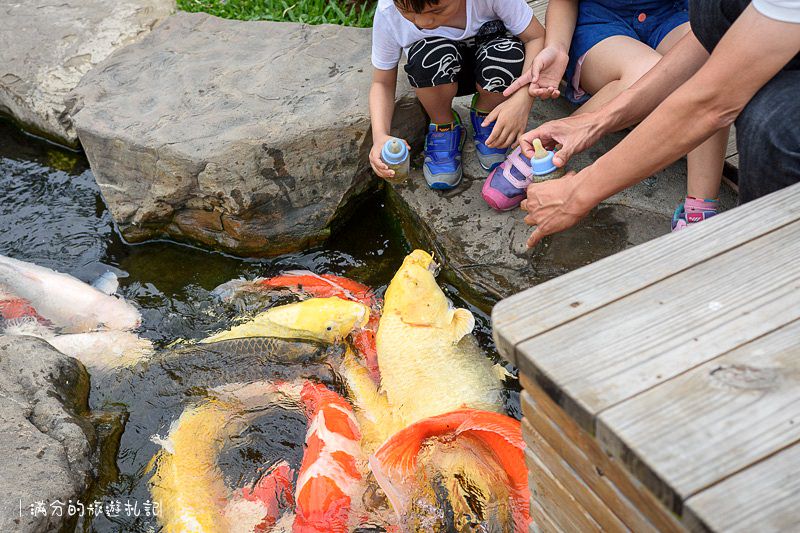 南投市景點》星月天空景觀餐廳 超廣角無敵夜景 在動物園裡下午茶 親子遊樂的好去處 - 滿分的旅遊札記
