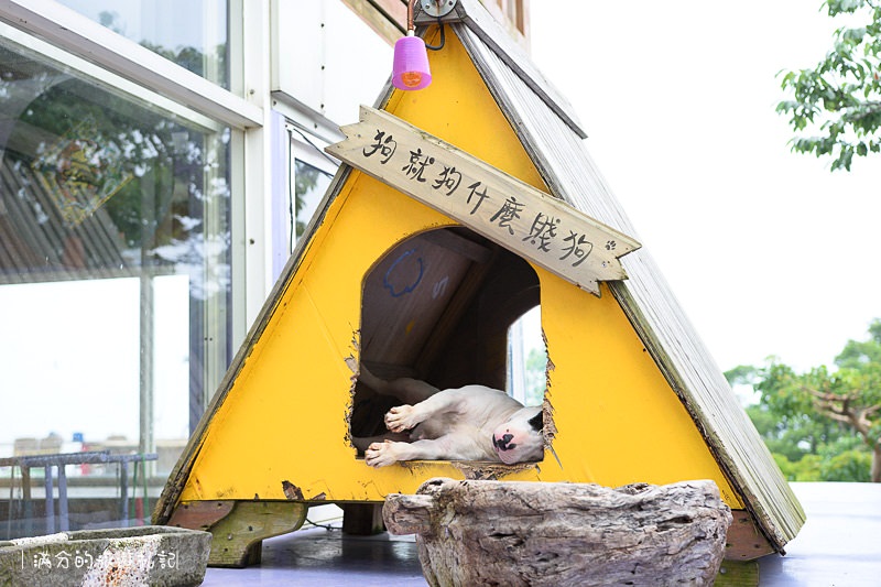 南投市景點》星月天空景觀餐廳 超廣角無敵夜景 在動物園裡下午茶 親子遊樂的好去處 - 滿分的旅遊札記