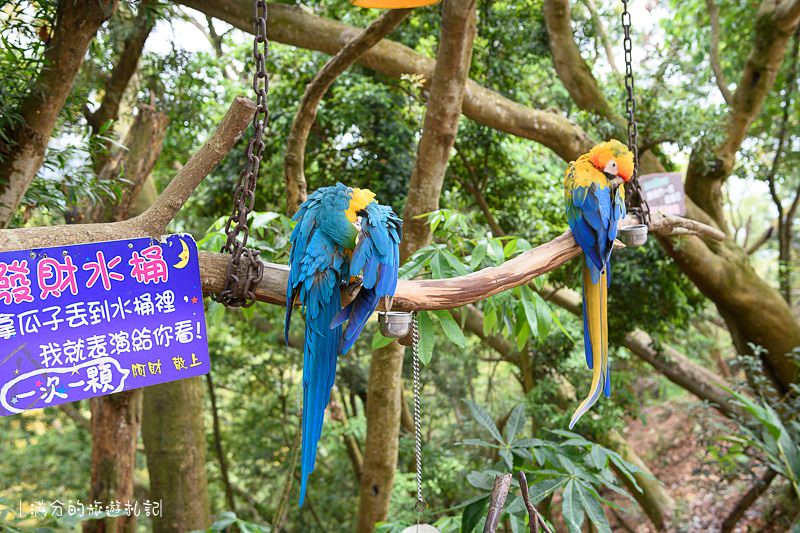 南投市景點》星月天空景觀餐廳 超廣角無敵夜景 在動物園裡下午茶 親子遊樂的好去處 - 滿分的旅遊札記