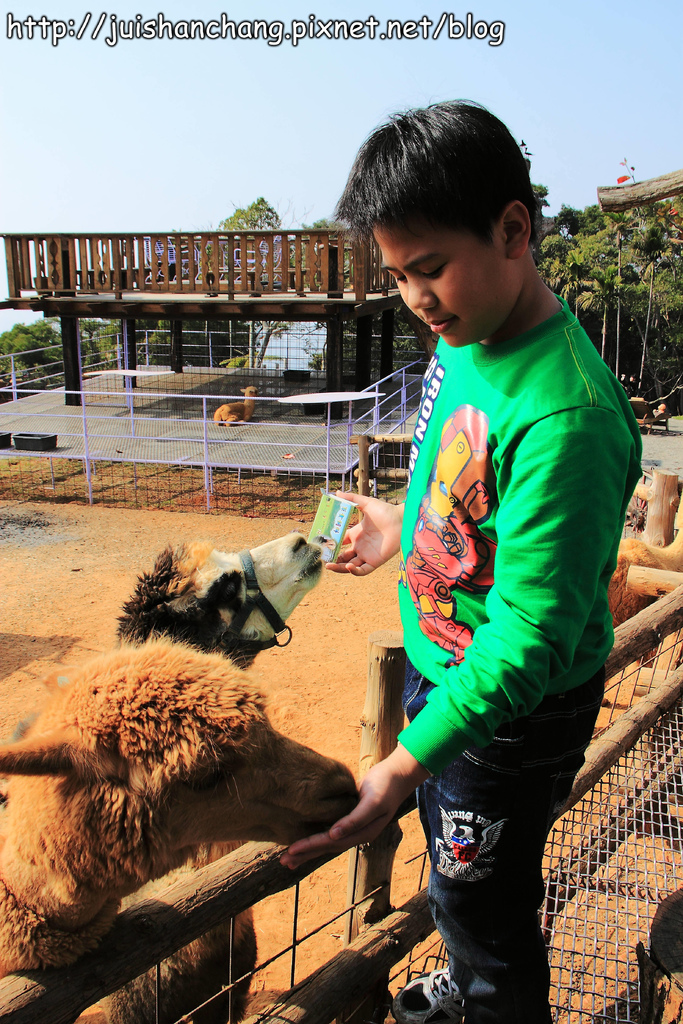 【南投猴探井旅遊景點】星月天空景觀餐廳~擁抱360度美景!