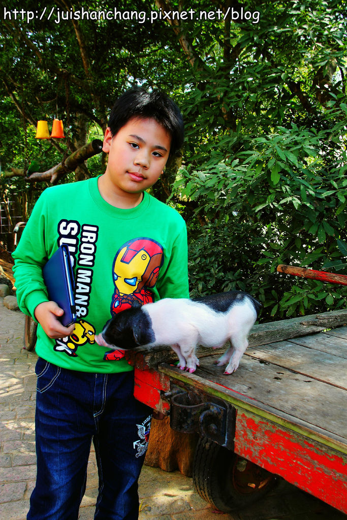 【南投猴探井旅遊景點】星月天空景觀餐廳~擁抱360度美景!