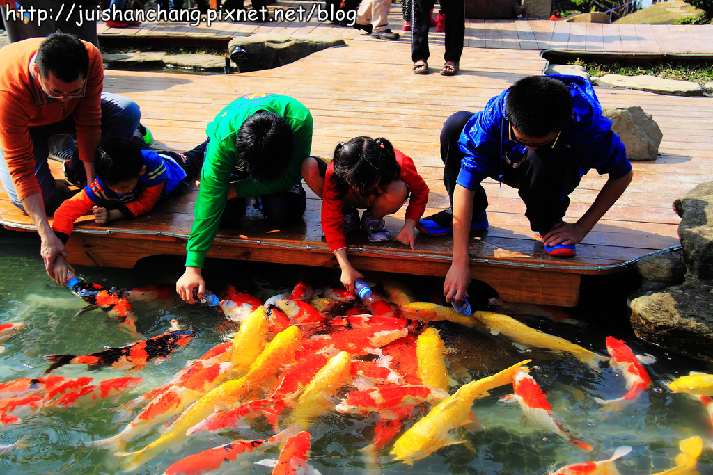 【南投猴探井旅遊景點】星月天空景觀餐廳~擁抱360度美景!