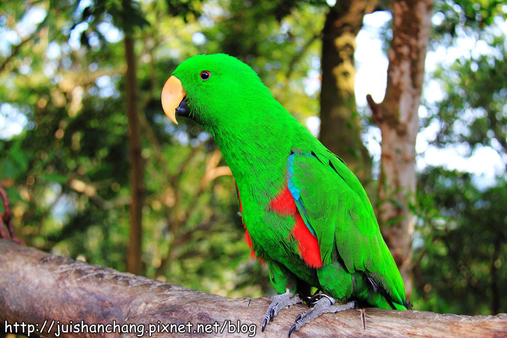 【南投猴探井旅遊景點】星月天空景觀餐廳~擁抱360度美景!