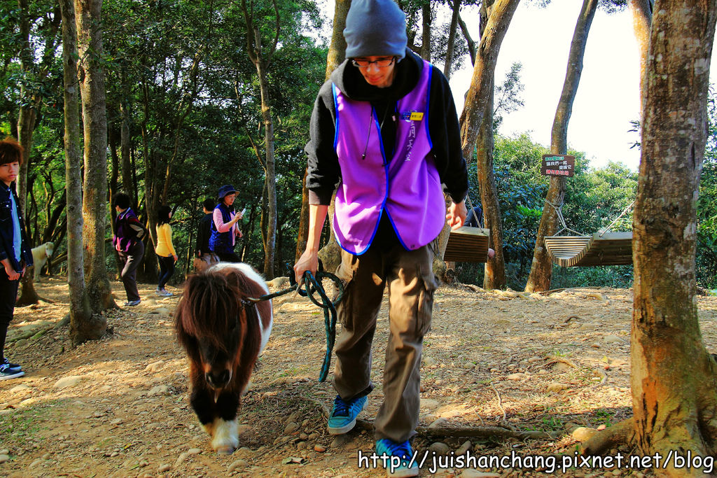 【南投猴探井旅遊景點】星月天空景觀餐廳~擁抱360度美景!