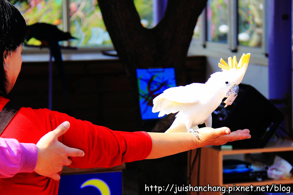 【南投猴探井旅遊景點】星月天空景觀餐廳~擁抱360度美景!