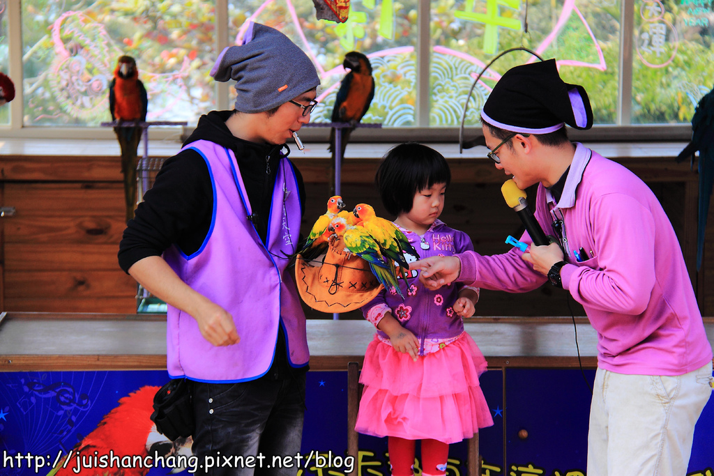 【南投猴探井旅遊景點】星月天空景觀餐廳~擁抱360度美景!