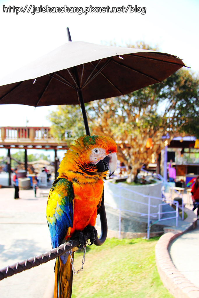 【南投猴探井旅遊景點】星月天空景觀餐廳~擁抱360度美景!