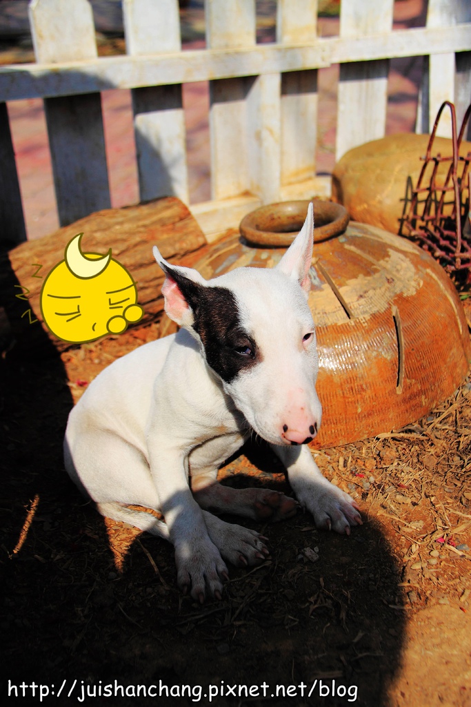 【南投猴探井旅遊景點】星月天空景觀餐廳~擁抱360度美景!