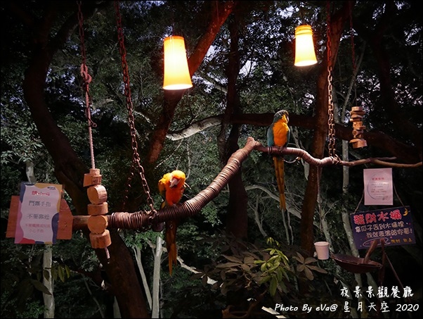 星月天空-07.jpg 星月天空-07.jpg