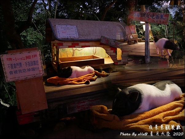 星月天空-08.jpg 星月天空-08.jpg