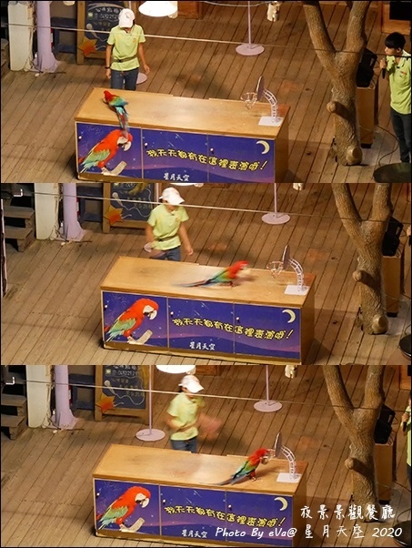 星月天空-38.jpg 星月天空-38.jpg