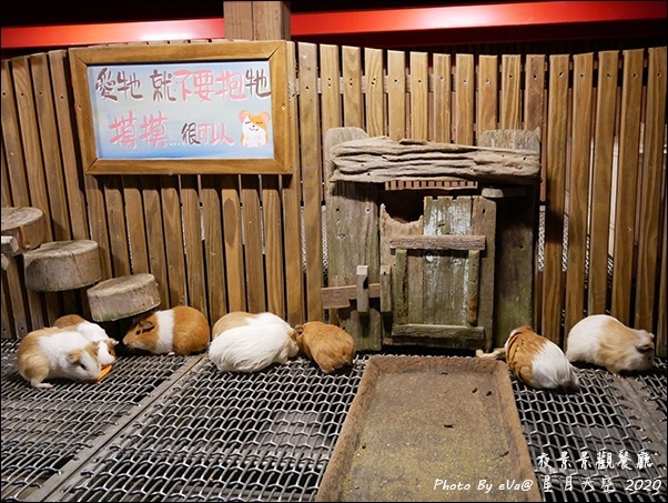 星月天空-68.jpg 星月天空-68.jpg