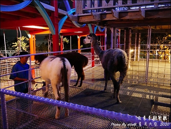 星月天空-63.jpg 星月天空-63.jpg