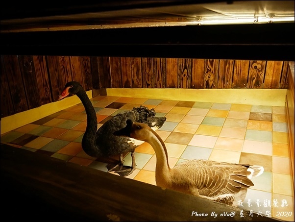 星月天空-69.jpg 星月天空-69.jpg