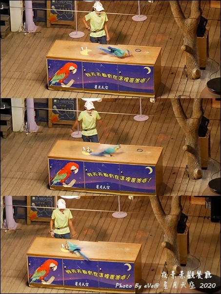 星月天空-36.jpg 星月天空-36.jpg