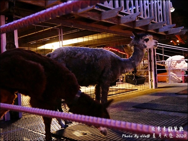 星月天空-64.jpg 星月天空-64.jpg