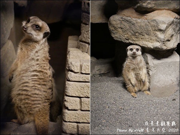 星月天空-67.jpg 星月天空-67.jpg