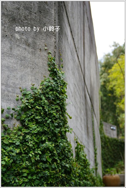 泰安觀止溫泉會館：苗栗「泰安觀止」山中的時尚溫泉會館