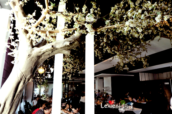 Lexie好誠實風車的故鄉14