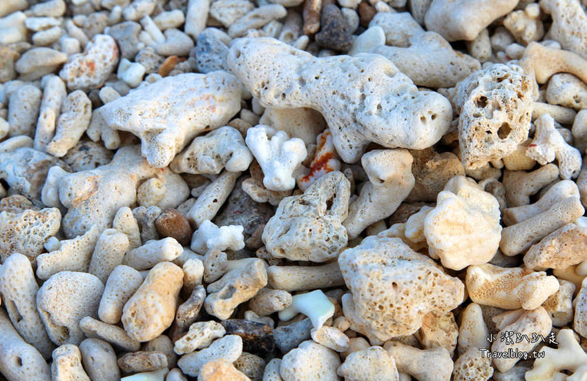 墾丁必去景點》屏東墾丁在地人私房景點:星砂灣 (婚紗灣)。清澈美麗的星砂灣媲美沖繩漸層海景,海鮮皆誘人! - 小潔趴趴走旅遊札記