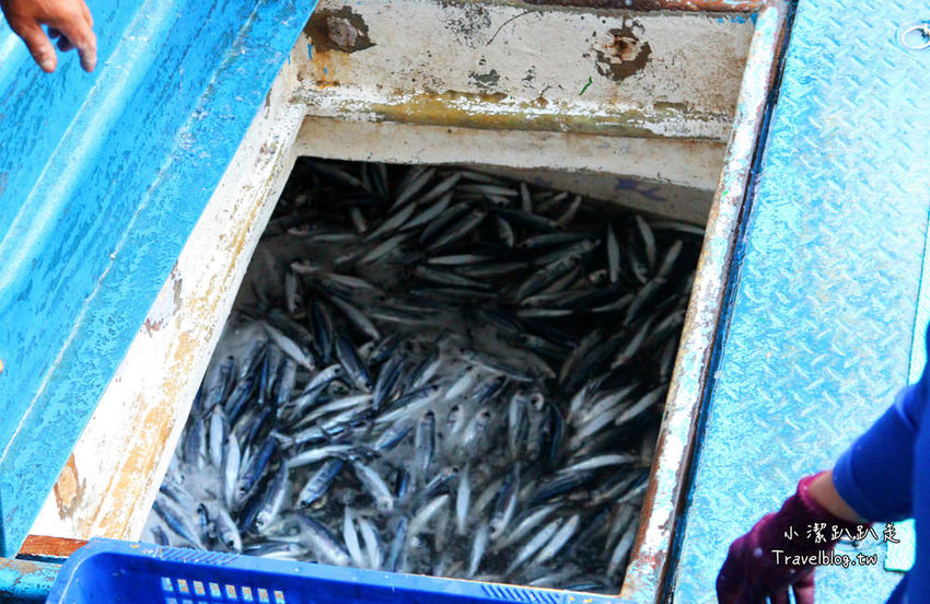 墾丁必去景點》屏東墾丁在地人私房景點:星砂灣 (婚紗灣)。清澈美麗的星砂灣媲美沖繩漸層海景,海鮮皆誘人! - 小潔趴趴走旅遊札記