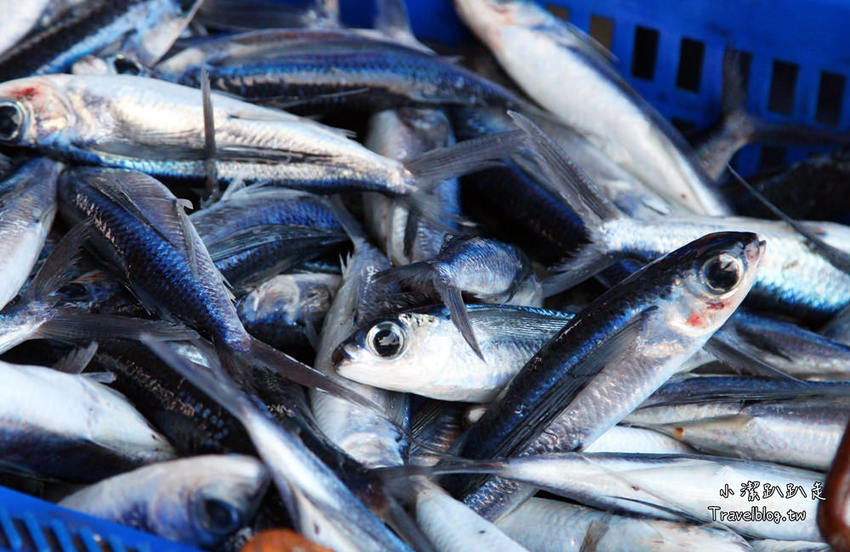 墾丁必去景點》屏東墾丁在地人私房景點:星砂灣 (婚紗灣)。清澈美麗的星砂灣媲美沖繩漸層海景,海鮮皆誘人! - 小潔趴趴走旅遊札記