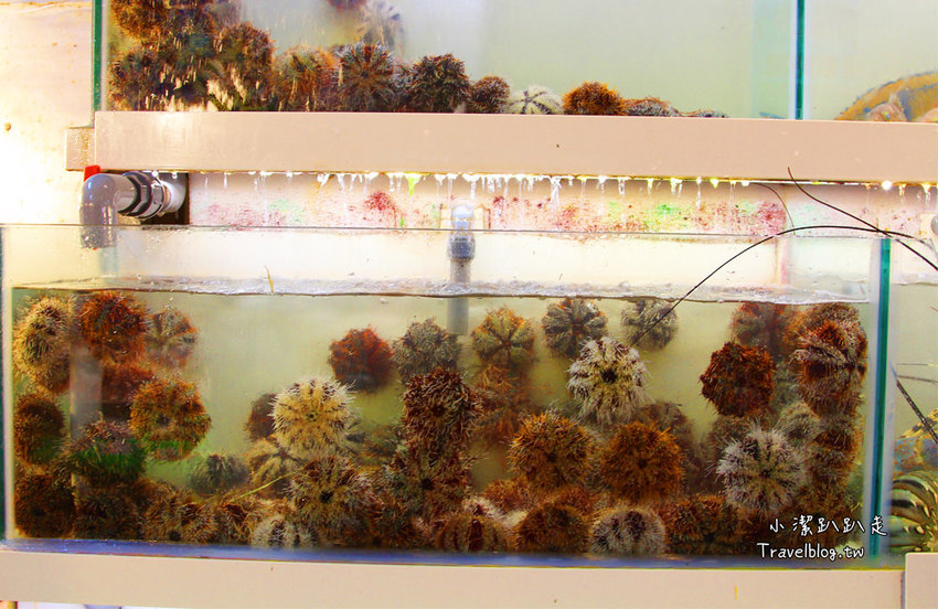 墾丁必去景點》屏東墾丁在地人私房景點:星砂灣 (婚紗灣)。清澈美麗的星砂灣媲美沖繩漸層海景,海鮮皆誘人! - 小潔趴趴走旅遊札記