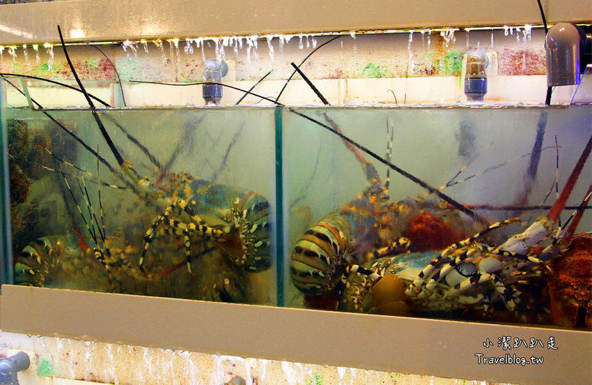 墾丁必去景點》屏東墾丁在地人私房景點:星砂灣 (婚紗灣)。清澈美麗的星砂灣媲美沖繩漸層海景,海鮮皆誘人! - 小潔趴趴走旅遊札記