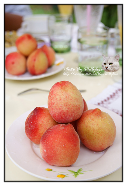 二訪MO MO 元山咖啡 水蜜桃園(台北陽明山)