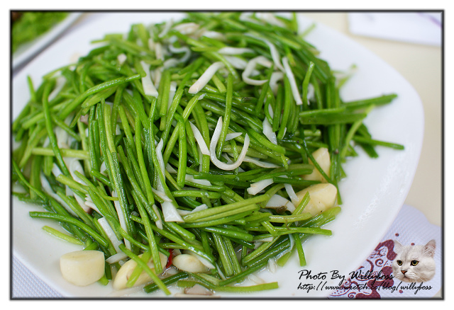 二訪MO MO 元山咖啡 水蜜桃園(台北陽明山)