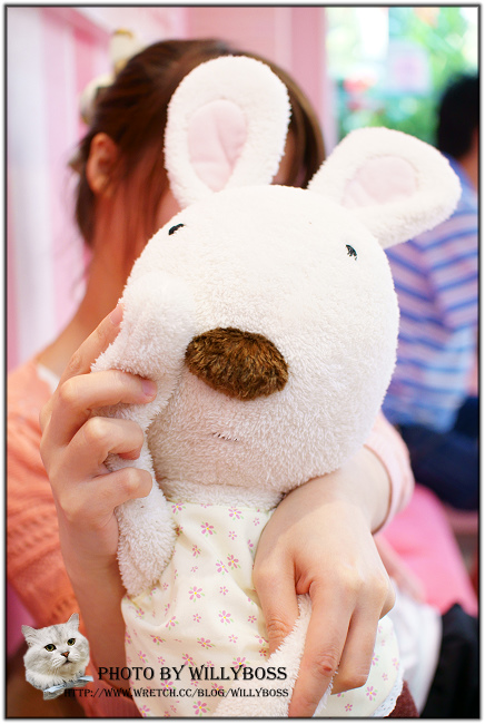 粉紅色的夢想出發-HONEY DOLL試賣開始(桃園中壢)