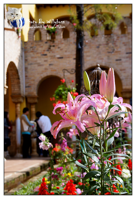 跨年假期逍遙遊－西班牙風庭園餐廳摩爾花園(雲林斗六)
