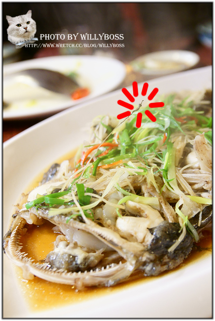 無菜單海鮮料理擴大營業－東風食堂(桃園中壢)