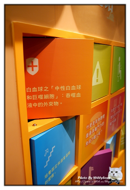 白蘭氏健康博物館(彰化鹿港)