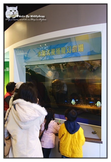 白蘭氏健康博物館(彰化鹿港)