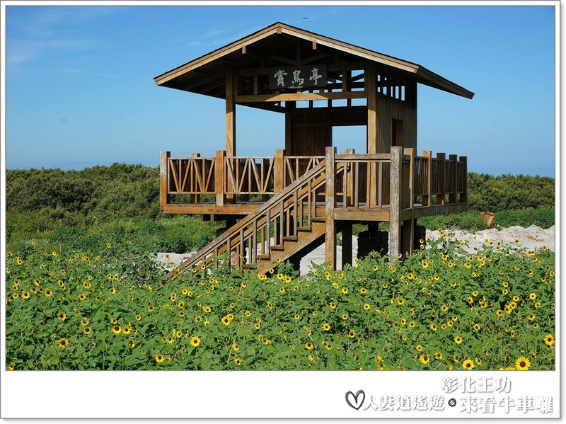 丫頭遊記_假日就該這樣玩~~來王功看海看天看牛車!!