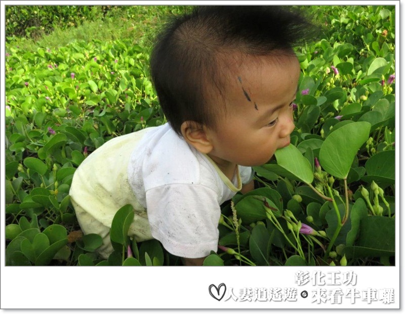 丫頭遊記_假日就該這樣玩~~來王功看海看天看牛車!!