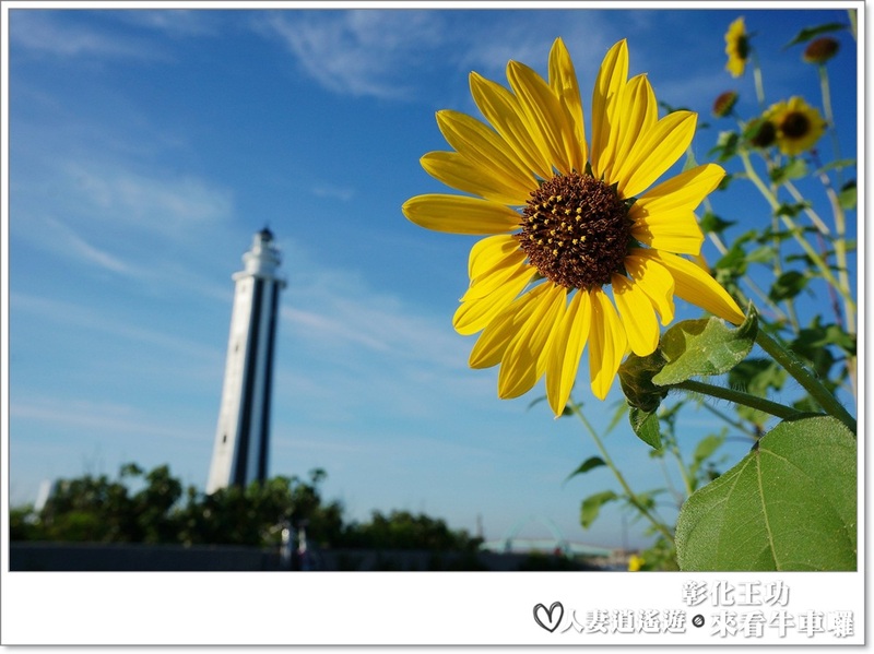 丫頭遊記_假日就該這樣玩~~來王功看海看天看牛車!!