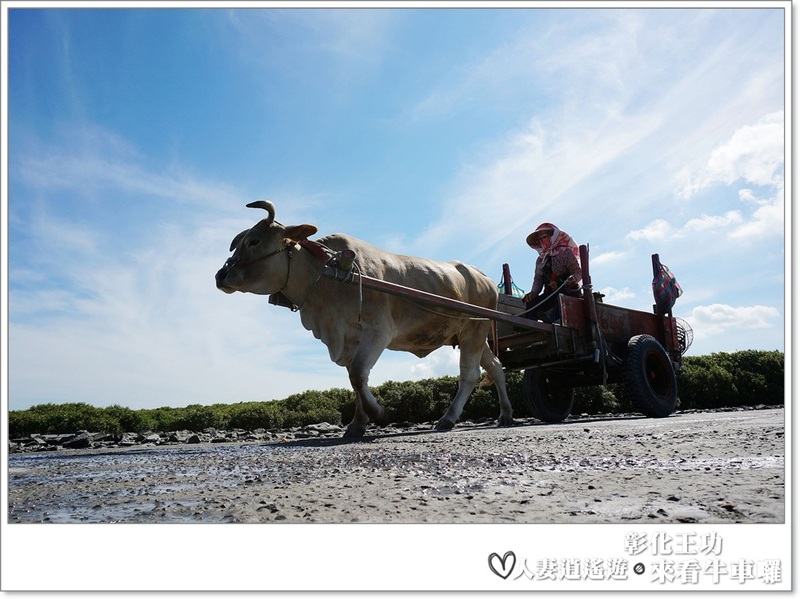 丫頭遊記_假日就該這樣玩~~來王功看海看天看牛車!!