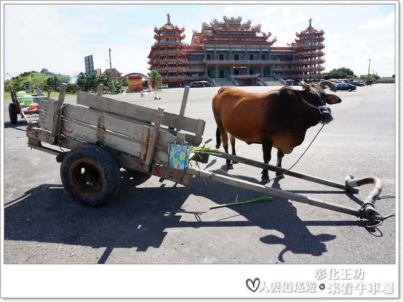 丫頭遊記_假日就該這樣玩~~來王功看海看天看牛車!!