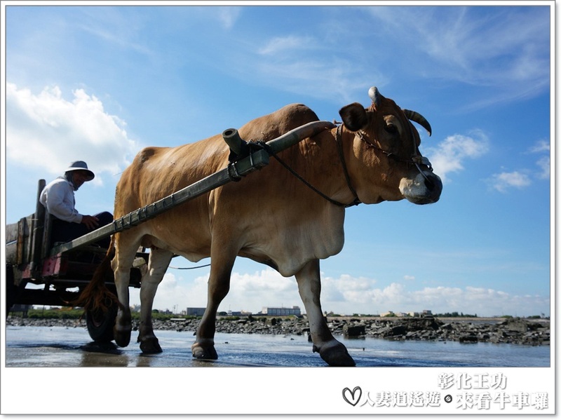 丫頭遊記_假日就該這樣玩~~來王功看海看天看牛車!!