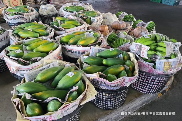 【台南/玉井】玉井區青果集貨場