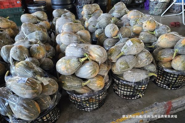 【台南/玉井】玉井區青果集貨場