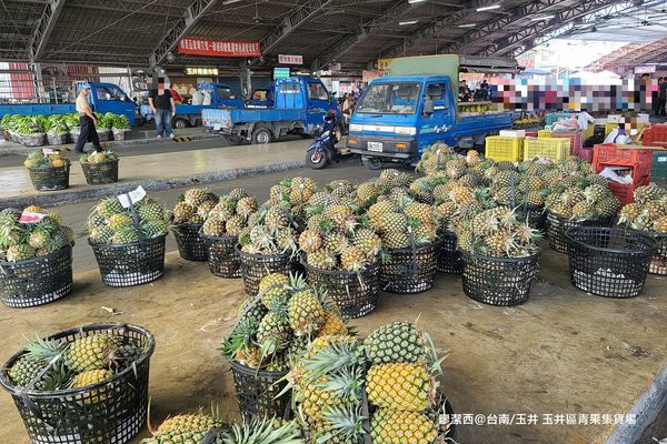 【台南/玉井】玉井區青果集貨場