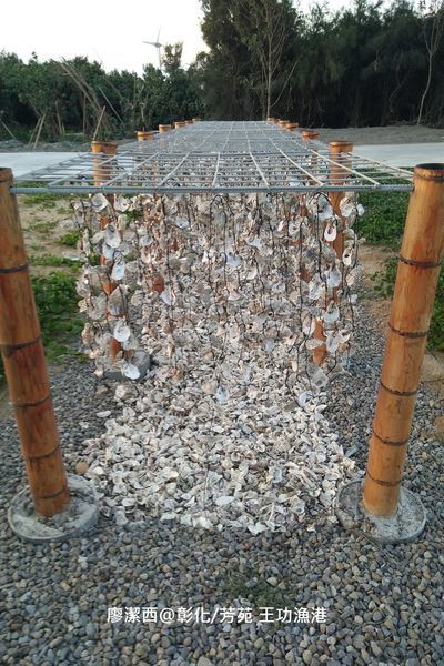 【彰化/芳苑】王功漁港