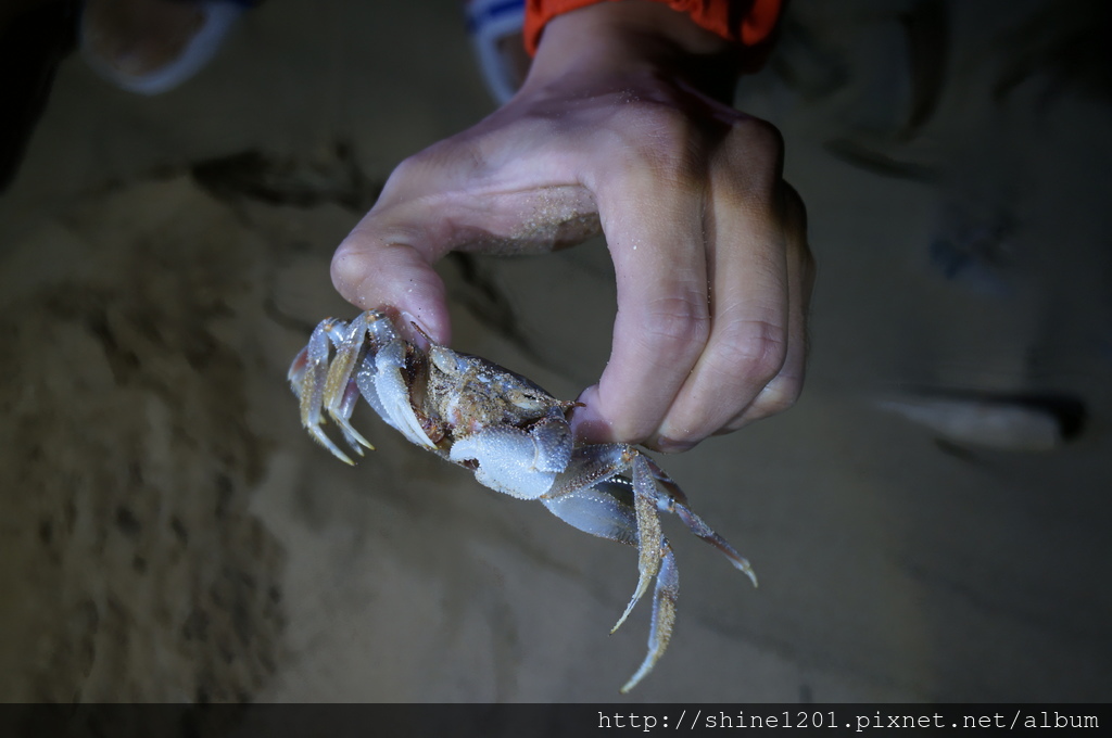福容大飯店福隆館  