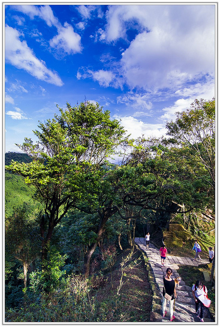 ╠台北旅遊╣香傳百年。悠然不朽-沒有紅楓依然優美愜意-汐止拱北殿