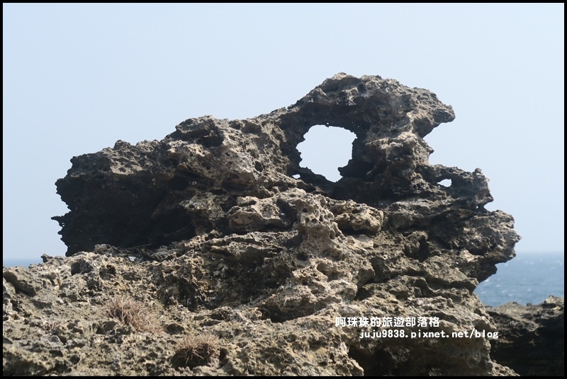 龍坑53.JPG