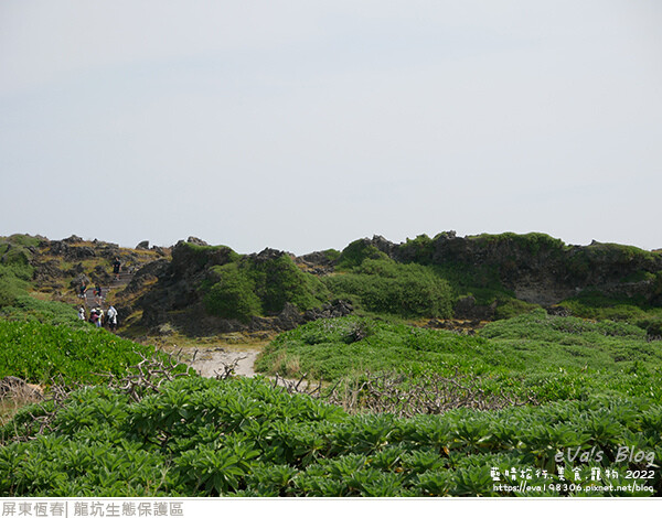 龍坑生態保護區-31.jpg