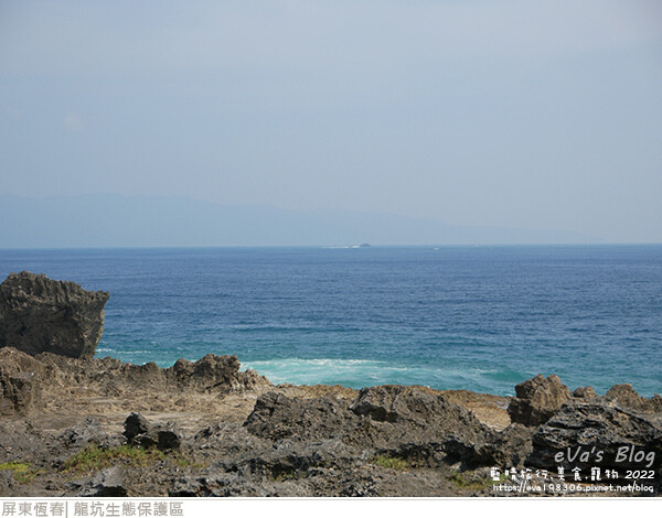 龍坑生態保護區-41.jpg